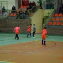 turmikol 18